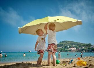 夏の日の… 夏の日の…