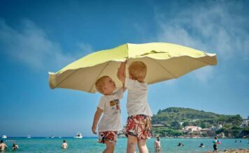 夏の日の… 夏の日の…