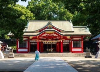 欲張りな日本人 欲張りな日本人