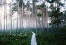 足元をよく見て 足元をよく見て