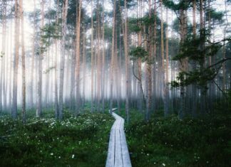 足元をよく見て 足元をよく見て