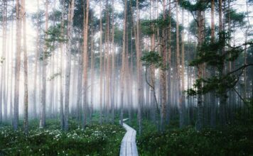 足元をよく見て 足元をよく見て